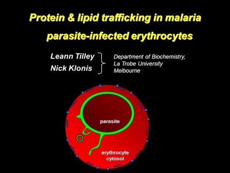 Protein & lipid trafficking in malaria parasite-infected erythrocytes Leann Tilley Nick Klonis Department of Biochemistry, La Trobe University Melbourne.