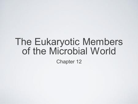 The Eukaryotic Members of the Microbial World Chapter 12.