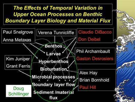 The Effects of Temporal Variation in Upper Ocean Processes on Benthic Boundary Layer Biology and Material Flux Paul Snelgrove Anna Metaxas Claudio DiBacco.
