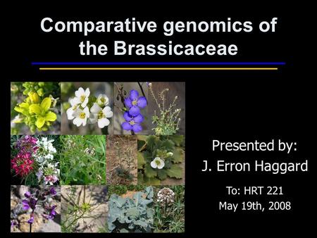 Comparative genomics of the Brassicaceae Presented by: J. Erron Haggard To: HRT 221 May 19th, 2008.