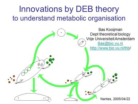 Innovations by DEB theory to understand metabolic organisation Bas Kooijman Dept theoretical biology Vrije Universiteit Amsterdam