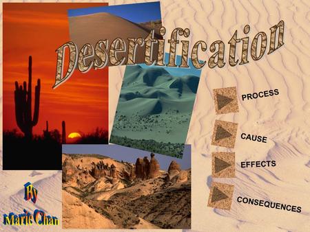 PROCESS CAUSE EFFECTS CONSEQUENCES a process by which land becomes increasingly dry until almost no vegetation grows on it - making it a desert.
