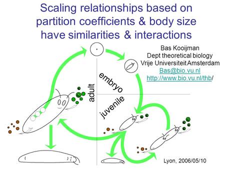 Scaling relationships based on partition coefficients & body size have similarities & interactions Bas Kooijman Dept theoretical biology Vrije Universiteit.
