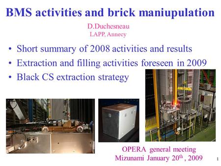 1 BMS activities and brick maniupulation Short summary of 2008 activities and results Extraction and filling activities foreseen in 2009 Black CS extraction.