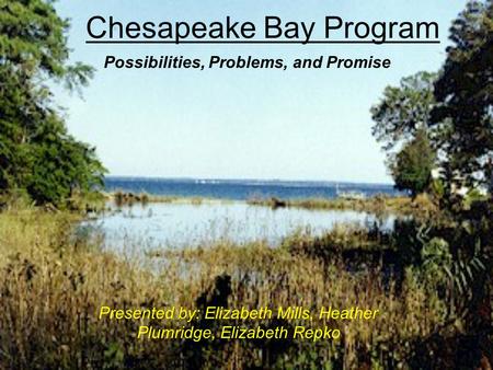 Chesapeake Bay Program Presented by: Elizabeth Mills, Heather Plumridge, Elizabeth Repko Possibilities, Problems, and Promise.