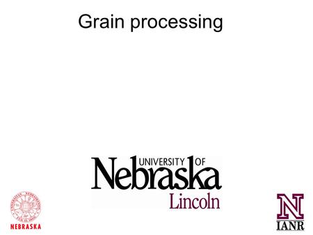 Grain processing. Grain Feeding 3) Corn 1) Wheat 4) Grain Sorghum 2) Barley Acidosis Potential Grain Feeding Stock et al., 2006.