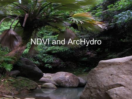 NDVI and ArcHydro. Methods ArcHydro Terrain Pre-Processing tools DEM fill Flow Direction Flow Length Stream Segmentation Conversion from raster to vector.