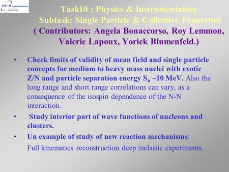 Task10 : Physics & Instrumentation Subtask: Single Particle & Collective Properties ( Contributors: Angela Bonaccorso, Roy Lemmon, Valerie Lapoux, Yorick.