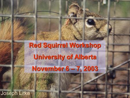 Red Squirrel Workshop University of Alberta November 6 – 7, 2003.