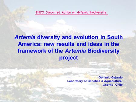 Gonzalo Gajardo Laboratory of Genetics & Aquaculture Osorno. Chile INCO Concerted Action on Artemia Biodiversity Artemia diversity and evolution in South.