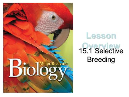 Lesson Overview 15.1 Selective Breeding.