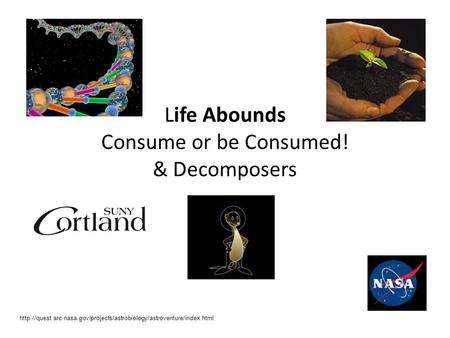 Life Abounds Consume or be Consumed! & Decomposers