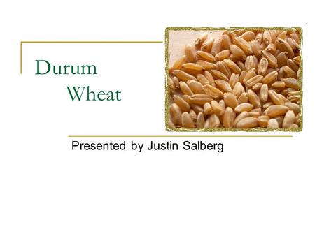 Durum Wheat Presented by Justin Salberg. Origins Abyssinia  Modern Day Ethiopia Archaeological Evidence  Cultivated in Byzantine Egypt just before rise.