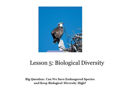 Lesson 5: Biological Diversity Big Question Big Question: Can We Save Endangered Species and Keep Biological Diversity High?
