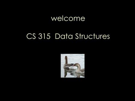Welcome CS 315 Data Structures. Instructor: B. Ravikumar Office: 116 I Darwin Hall Phone: 664 3335   Course Web site: