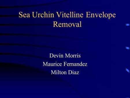 Sea Urchin Vitelline Envelope Removal Devin Morris Maurice Fernandez Milton Diaz.