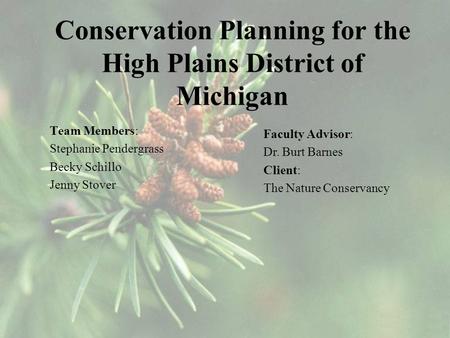 Conservation Planning for the High Plains District of Michigan Team Members: Stephanie Pendergrass Becky Schillo Jenny Stover Faculty Advisor: Dr. Burt.
