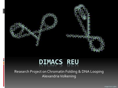 Research Project on Chromatin Folding & DNA Looping Alexandria Volkening Images from w3dna.