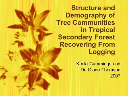 Structure and Demography of Tree Communities in Tropical Secondary Forest Recovering From Logging Keala Cummings and Dr. Diane Thomson 2007 Keala Cummings.