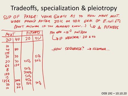 OEB 192 – 10.10.20 Tradeoffs, specialization & pleiotropy.