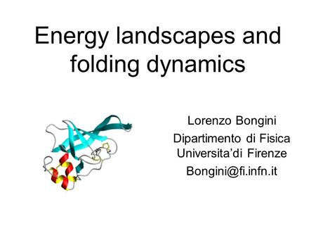 Energy landscapes and folding dynamics Lorenzo Bongini Dipartimento di Fisica Universita’di Firenze