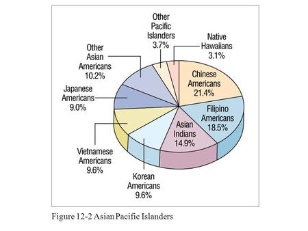 Figure 12-2 Asian Pacific Islanders. Model Minority Education and the economy Model Minority image - in spite of prejudice and discrimination Asian Americans.
