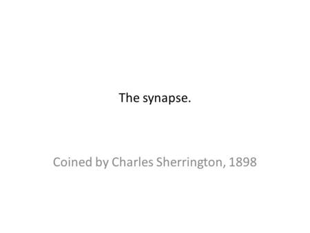 The synapse. Coined by Charles Sherrington, 1898.