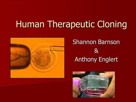 Human Therapeutic Cloning Shannon Barnson & Anthony Englert.