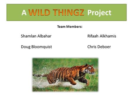 A Project Team Members: Shamlan AlbaharRifaah Alkhamis Doug BloomquistChris Deboer.