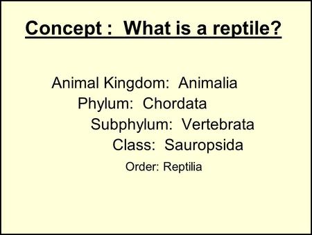 Concept : What is a reptile?