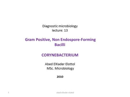 Diagnostic microbiology lecture: 13 Gram Positive, Non Endospore-Forming Bacilli CORYNEBACTERIUM Abed ElKader Elottol MSc. Microbiology 2010 1abed elkader.