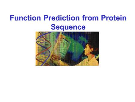 Function Prediction from Protein Sequence. Basic definitions Primary structure –the linear sequence of amino acids in a protein Secondary structure –regions.