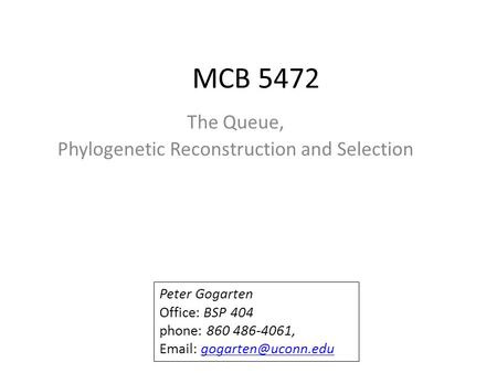 MCB 5472 The Queue, Phylogenetic Reconstruction and Selection Peter Gogarten Office: BSP 404 phone: 860 486-4061,
