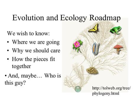 We wish to know: Where we are going Why we should care How the pieces fit together Evolution and Ecology Roadmap  phylogeny.html.