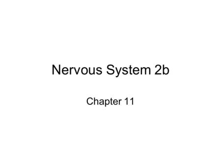 Nervous System 2b Chapter 11. Autonomic Nervous System A division of the peripheral nervous system Remember: the sympathetic nervous system is associated.