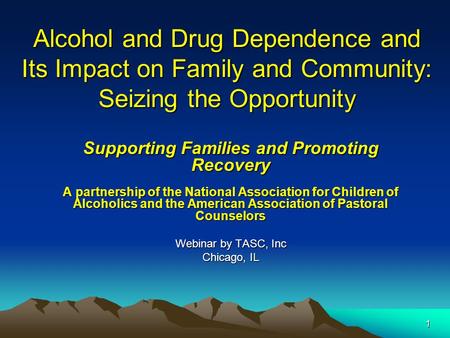 1 Alcohol and Drug Dependence and Its Impact on Family and Community: Seizing the Opportunity Supporting Families and Promoting Recovery A partnership.