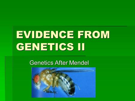 EVIDENCE FROM GENETICS II