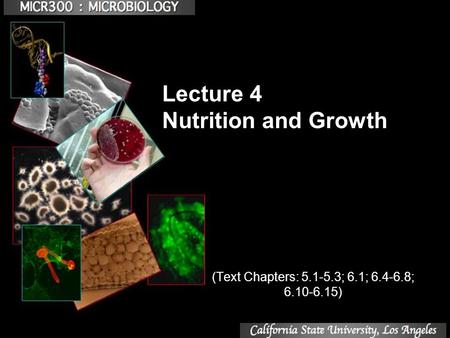 Lecture 4 Nutrition and Growth (Text Chapters: 5.1-5.3; 6.1; 6.4-6.8; 6.10-6.15)