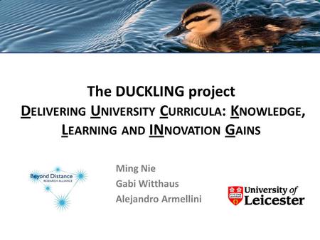 The DUCKLING project D ELIVERING U NIVERSITY C URRICULA : K NOWLEDGE, L EARNING AND IN NOVATION G AINS Ming Nie Gabi Witthaus Alejandro Armellini.