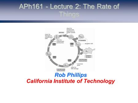 APh161 - Lecture 2: The Rate of Things Rob Phillips California Institute of Technology.