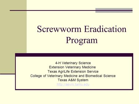 Screwworm Eradication Program 4-H Veterinary Science Extension Veterinary Medicine Texas AgriLife Extension Service College of Veterinary Medicine and.