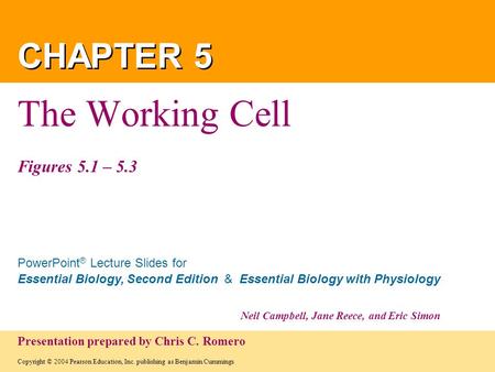 Copyright © 2004 Pearson Education, Inc. publishing as Benjamin Cummings PowerPoint ® Lecture Slides for Essential Biology, Second Edition & Essential.