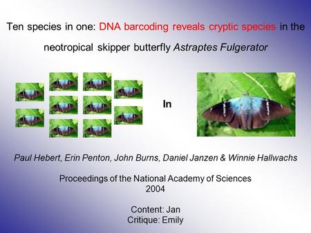 Ten species in one: DNA barcoding reveals cryptic species in the neotropical skipper butterfly Astraptes Fulgerator Paul Hebert, Erin Penton, John Burns,