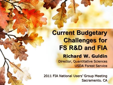 Current Budgetary Challenges for FS R&D and FIA Richard W. Guldin Director, Quantitative Sciences USDA Forest Service 2011 FIA National Users’ Group Meeting.