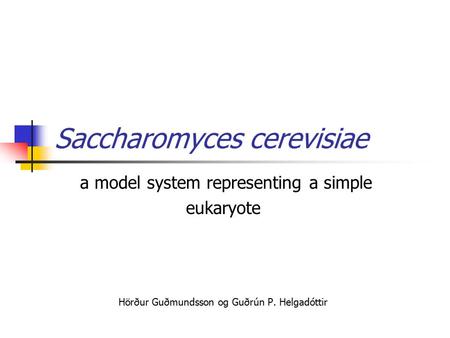 Saccharomyces cerevisiae a model system representing a simple eukaryote Hörður Guðmundsson og Guðrún P. Helgadóttir.