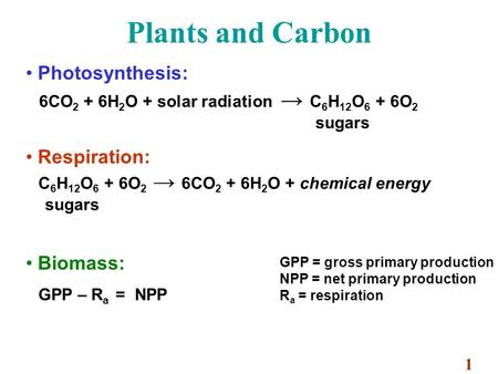 Plants and Carbon Photosynthesis: 6CO 2 + 6H 2 O + solar radiation → C 6 H 12 O 6 + 6O 2 sugars Respiration: C 6 H 12 O 6 + 6O 2 → 6CO 2 + 6H 2 O + chemical.
