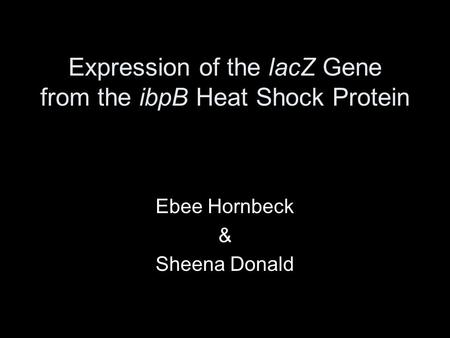 Expression of the lacZ Gene from the ibpB Heat Shock Protein Ebee Hornbeck & Sheena Donald.