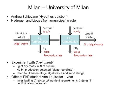 Milan – University of Milan Experiment with C.reinhardtii –3g of dry mass in 1l of culture –No H 2 production detected (algae too dilute) –Need to filter/centrifuge.