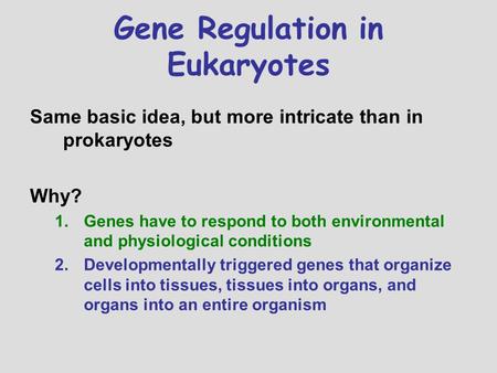 Gene Regulation in Eukaryotes Same basic idea, but more intricate than in prokaryotes Why? 1.Genes have to respond to both environmental and physiological.