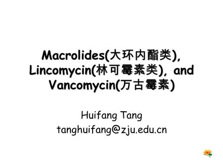 Macrolides(大环内酯类), Lincomycin(林可霉素类), and Vancomycin(万古霉素)